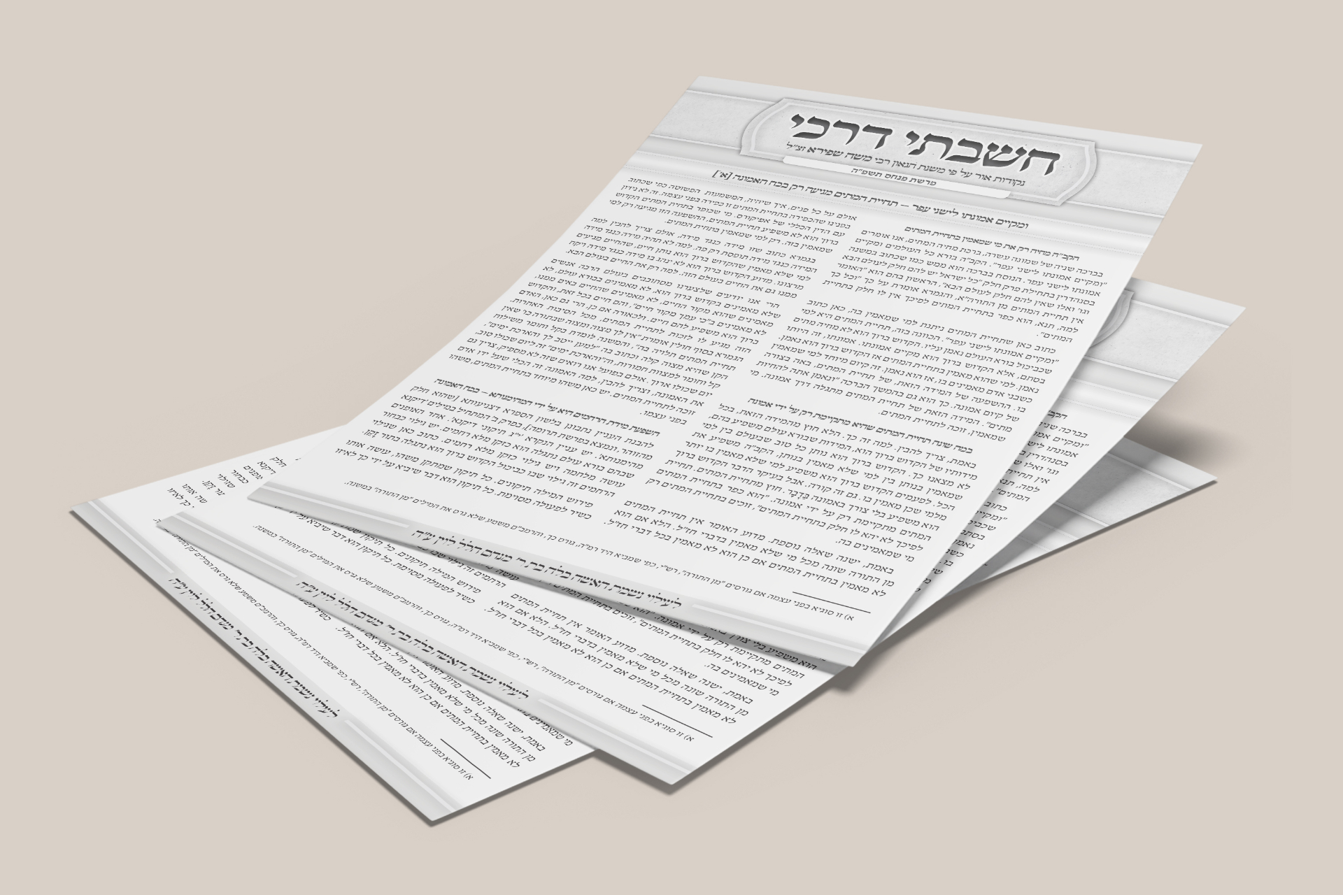חישבתי דרכי — תצוגה 1